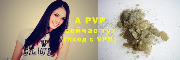 крисы Вязьма