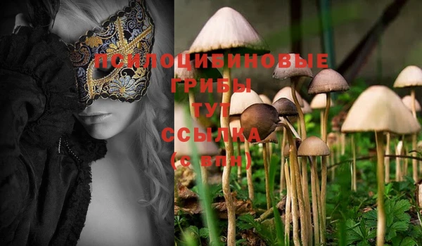 ECSTASY Вязники