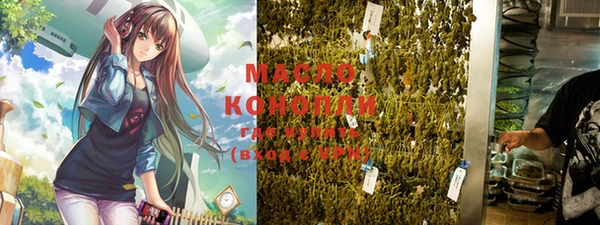 гидра Горняк