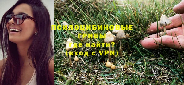 герыч Вяземский