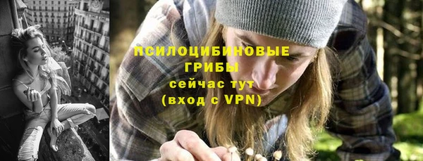гидра Горняк