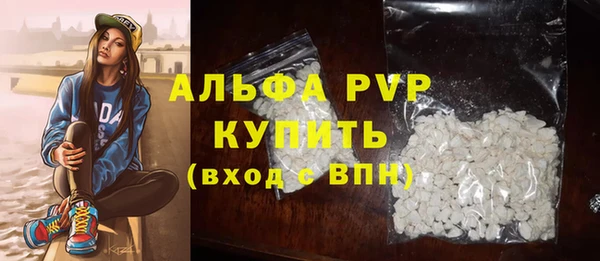 крисы Вязьма