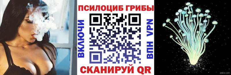 где найти маркетплейс формула Псилоцибиновые грибы ЛСД Новомосковск